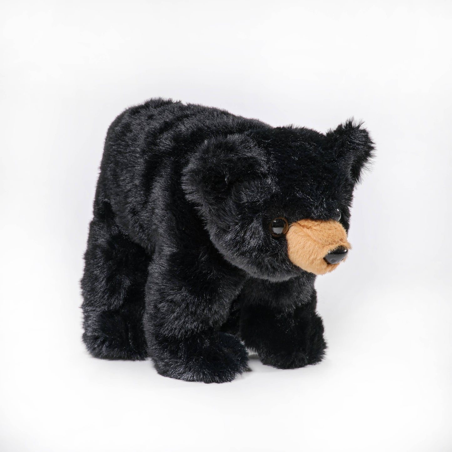 Bandit the Black Bear
