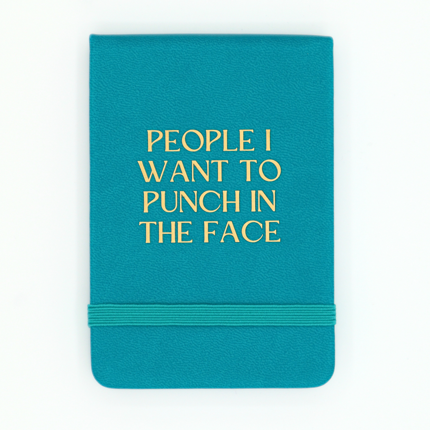 People I Want To Punch In The Face Journal