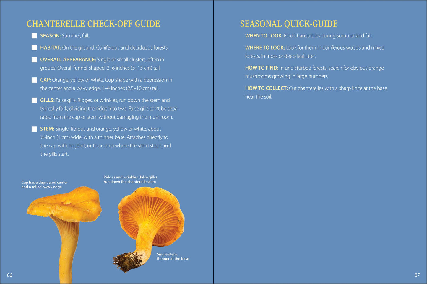 Start Mushrooming