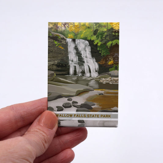 Swallow Falls MD State Park magnet