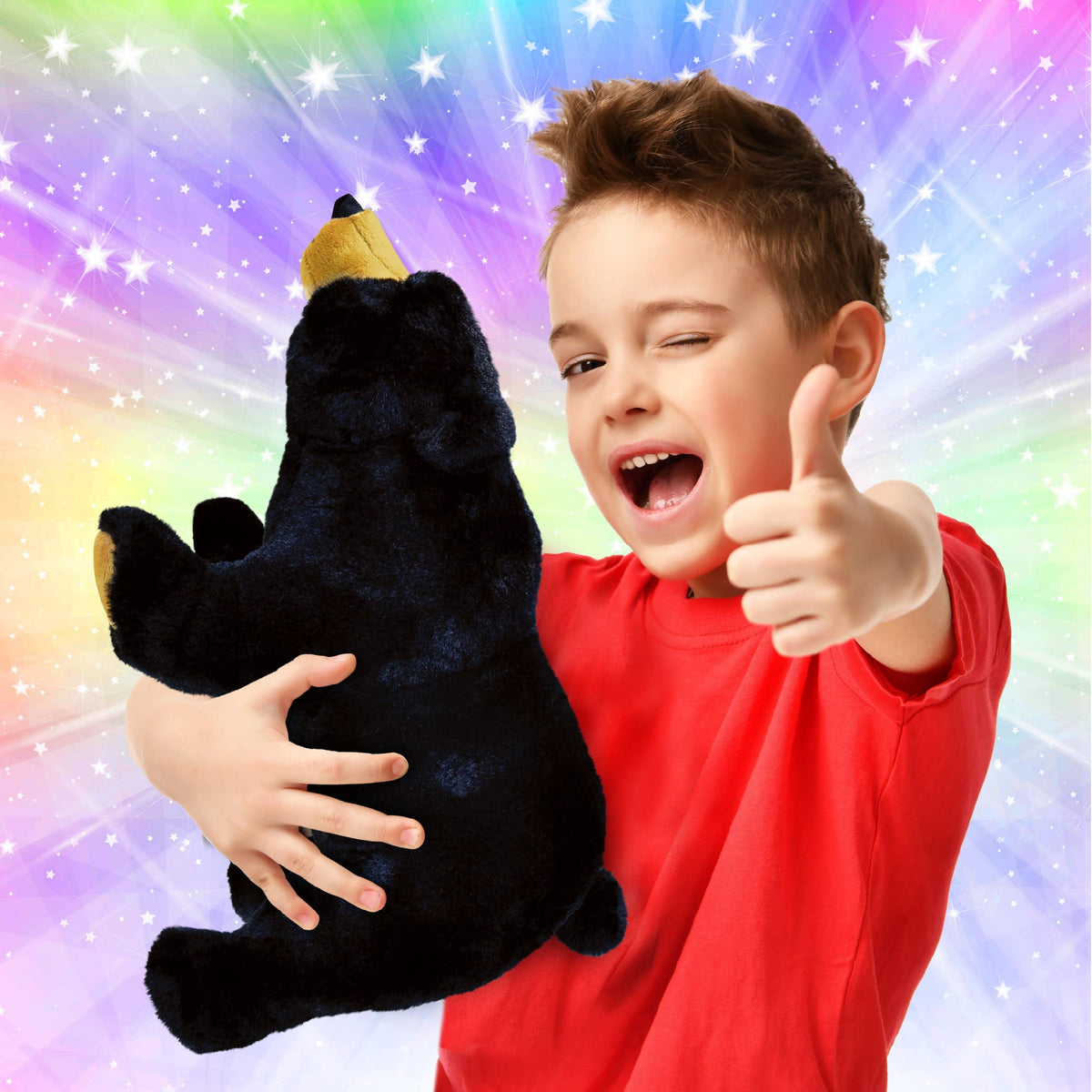 Wild Large Black Bear