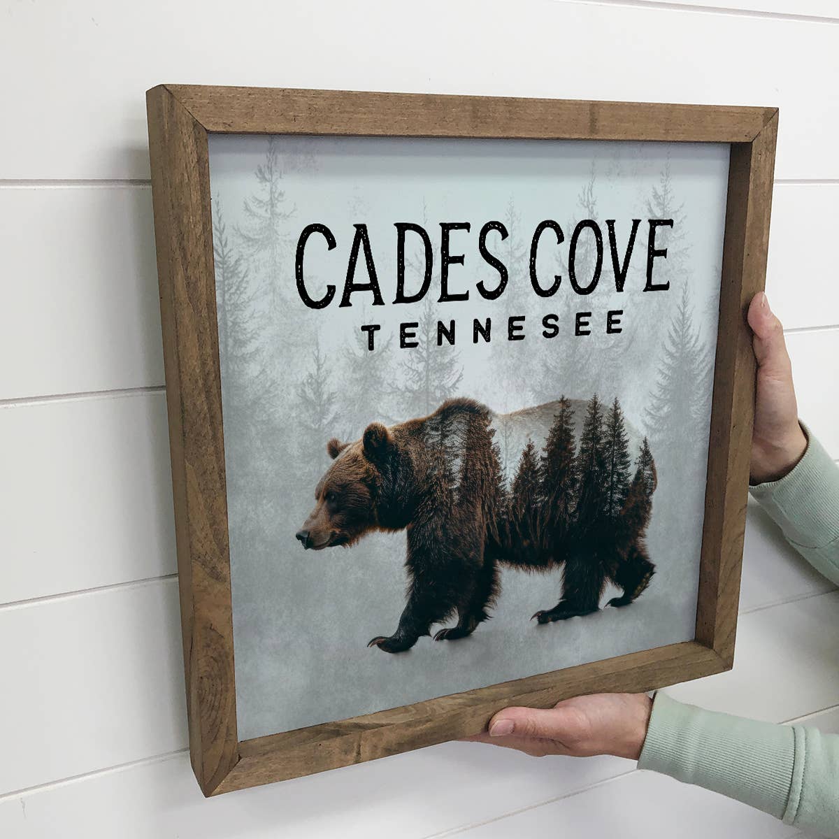 Bear Pine Trees DCL Sign