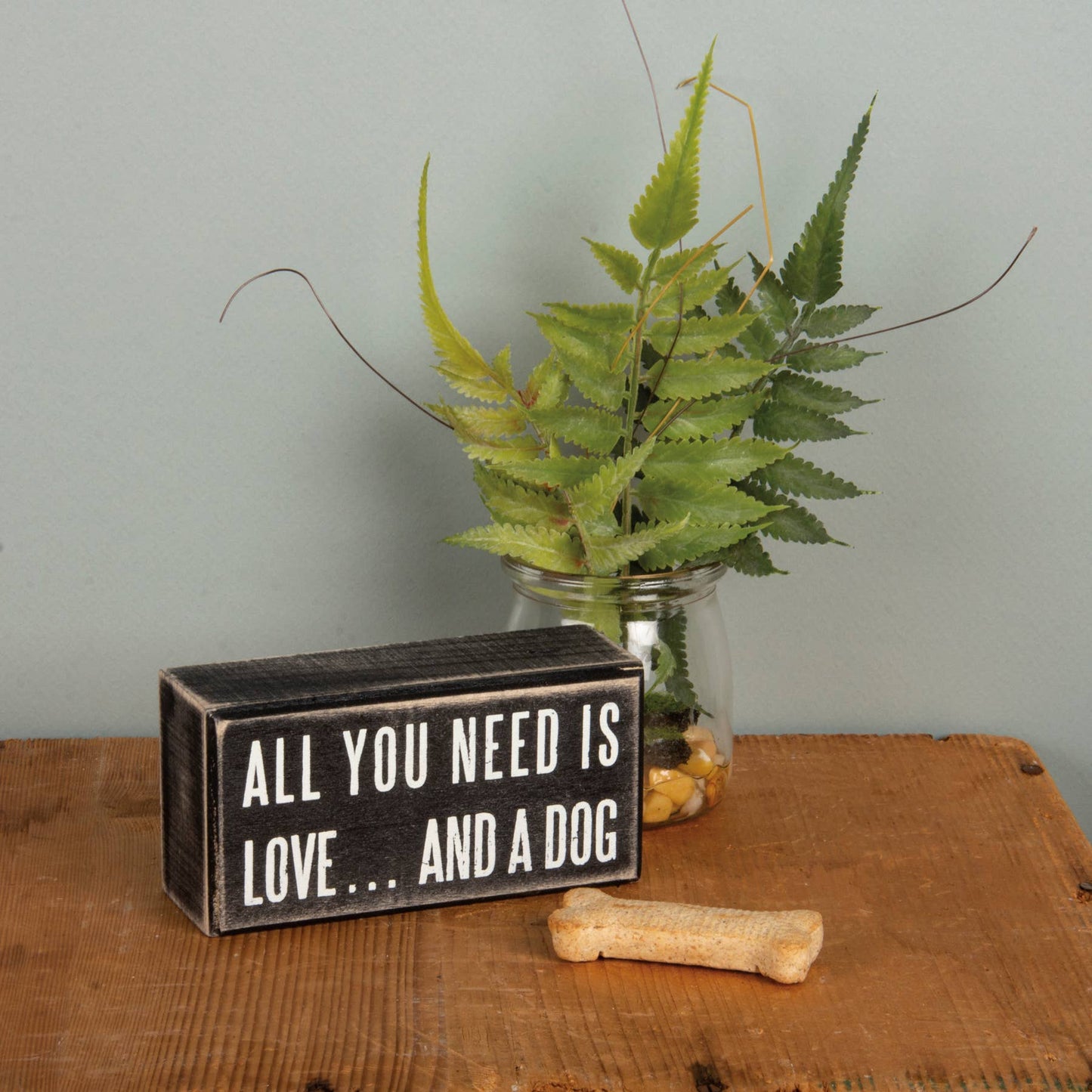 All You Need Is Love And A Dog Box