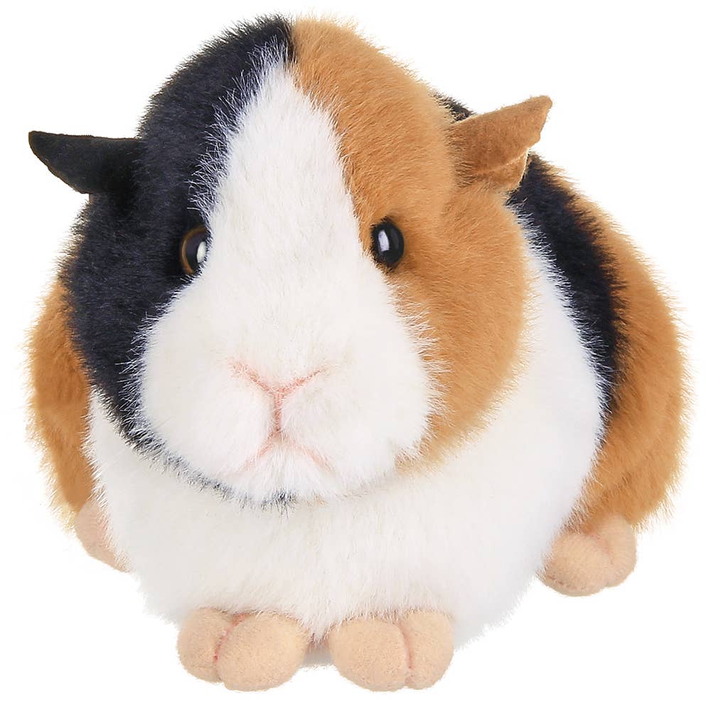 Scooter the plush guinea pig