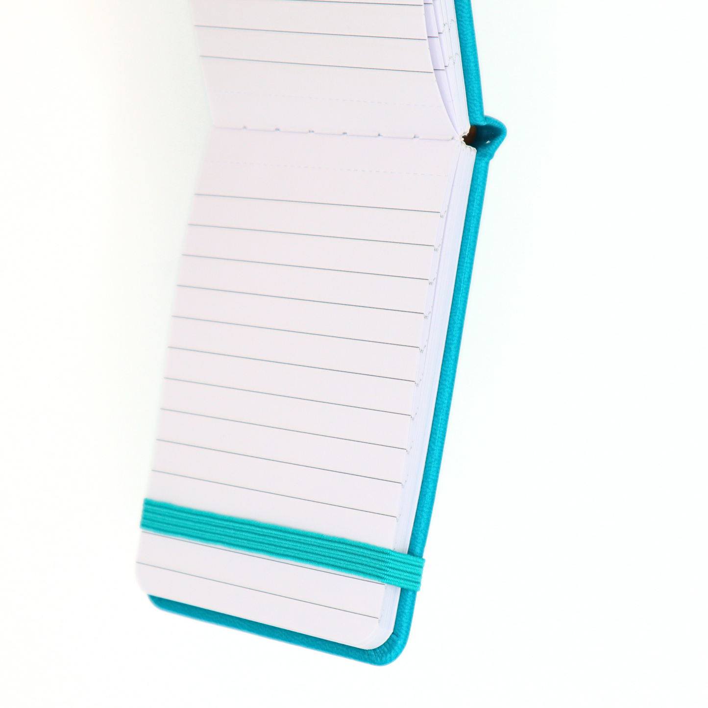 People I Want To Punch In The Face Journal