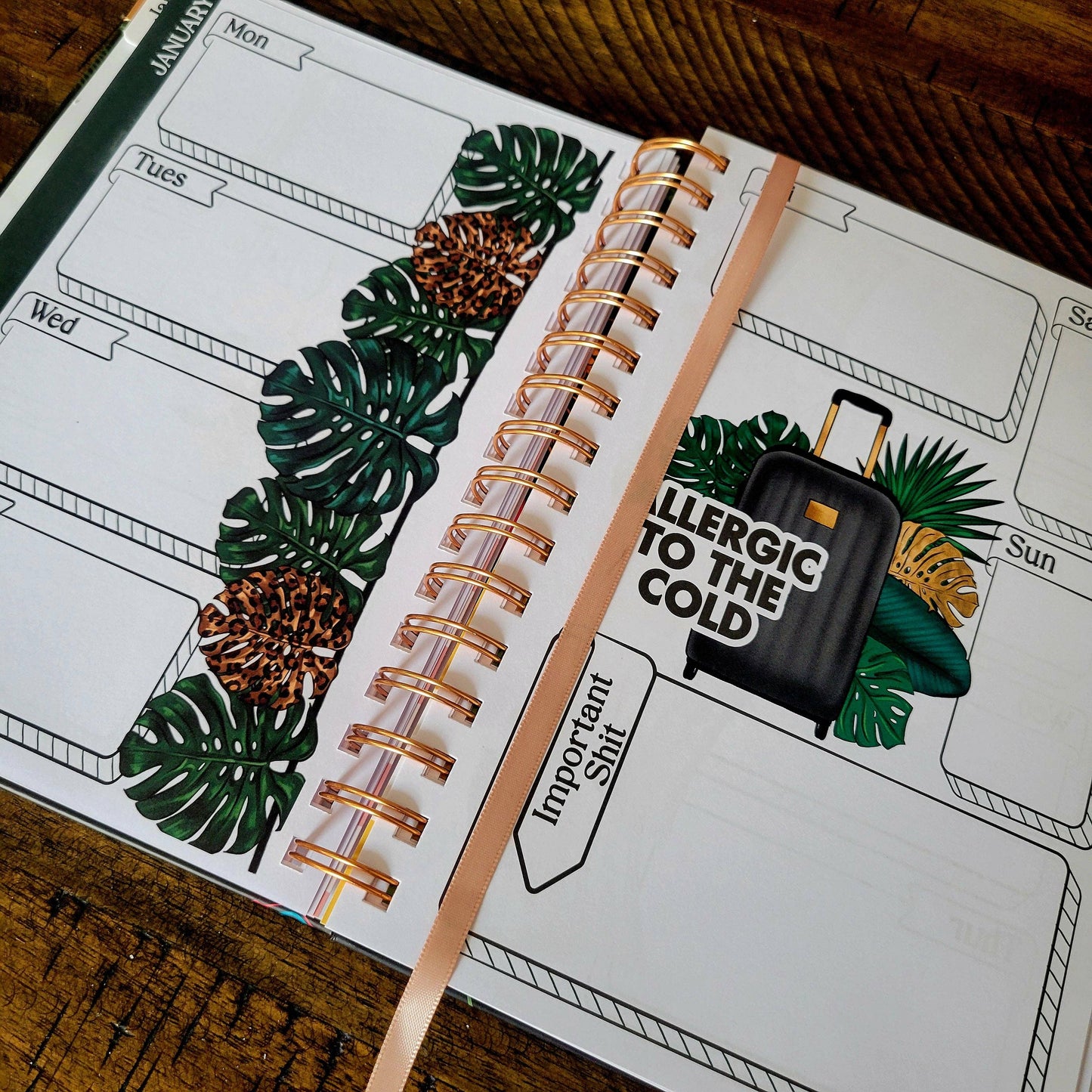 Seize The F@cking Day Undated Sweary Planner |