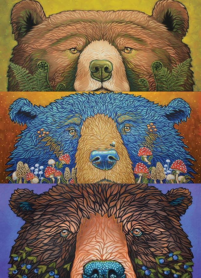 Bear Eyes: Harvest – 500-Piece Puzzle