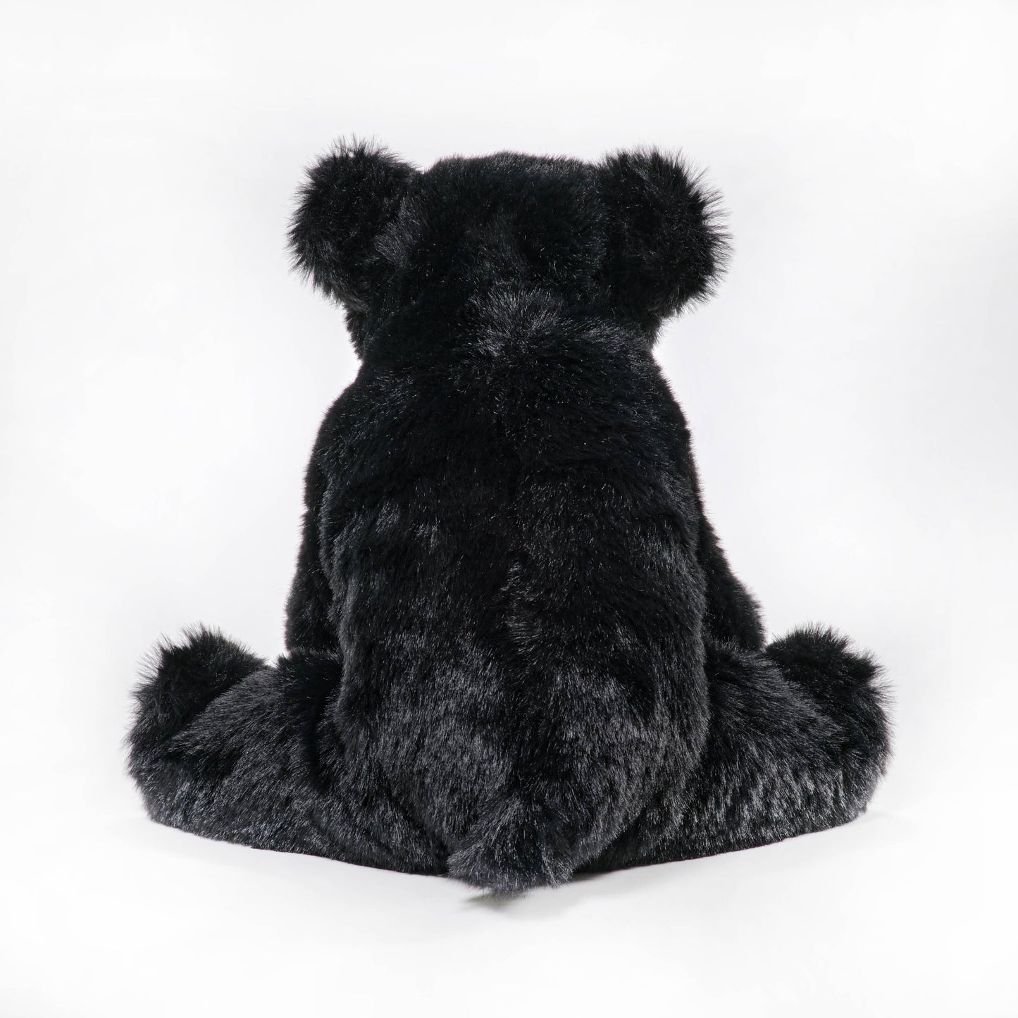 Baby Bandit the Black Bear