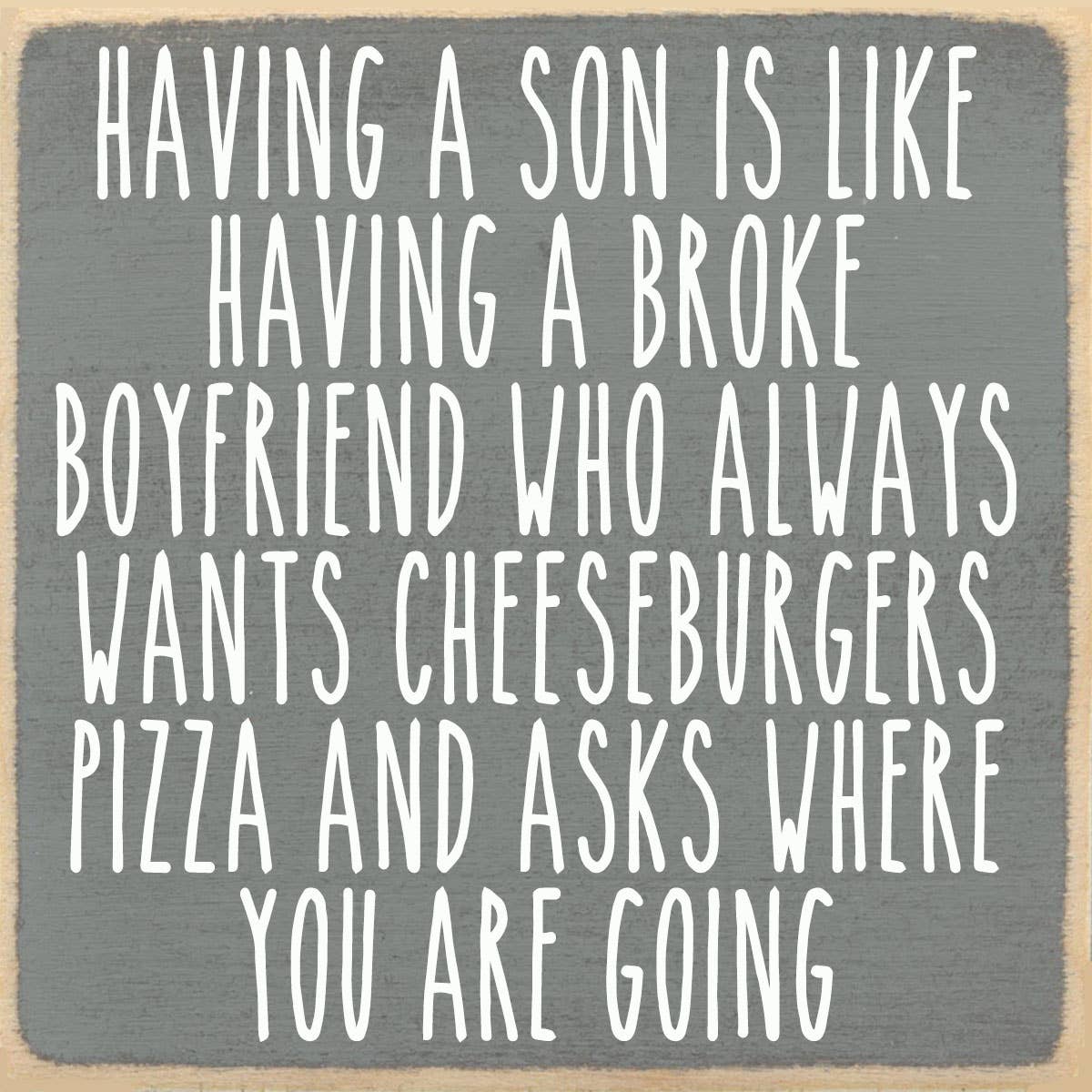 4x4-1051 Son best friend
