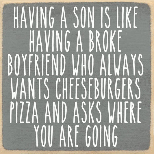 4x4-1051 Son best friend