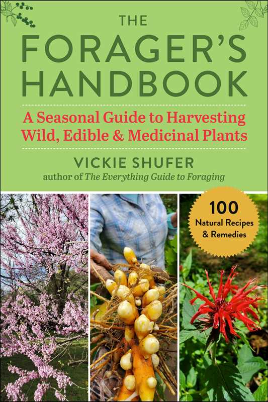 Forager's Handbook by Vickie Shufer