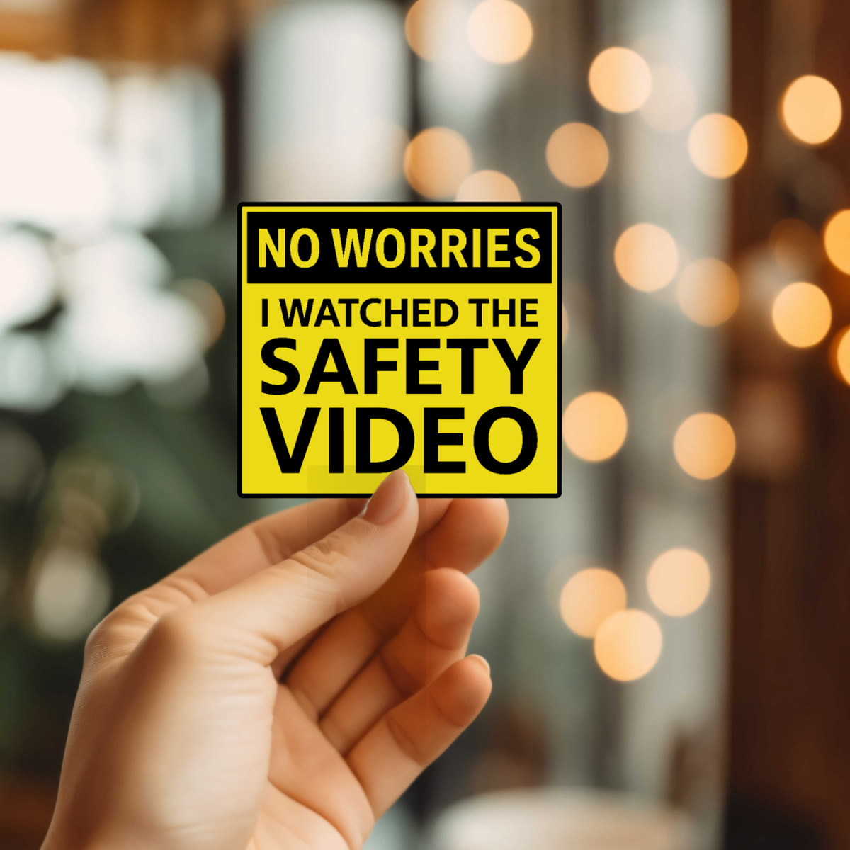 I Watched The Safety Video
