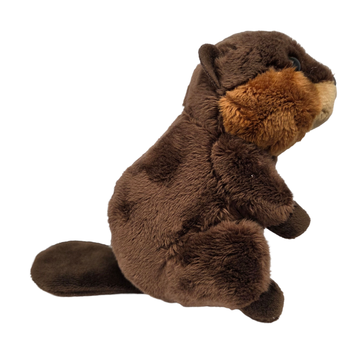 Chipper the Canned Beaver |