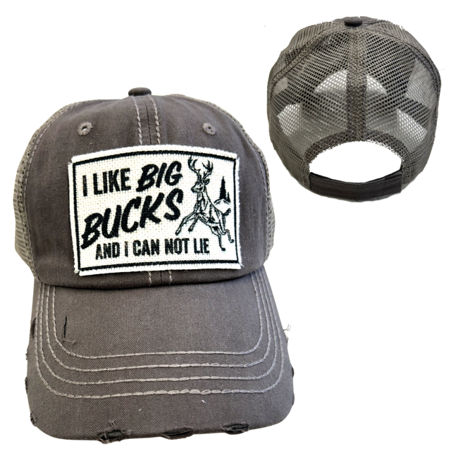 I LIKE BIG BUCKS AND I CAN NOT LIE