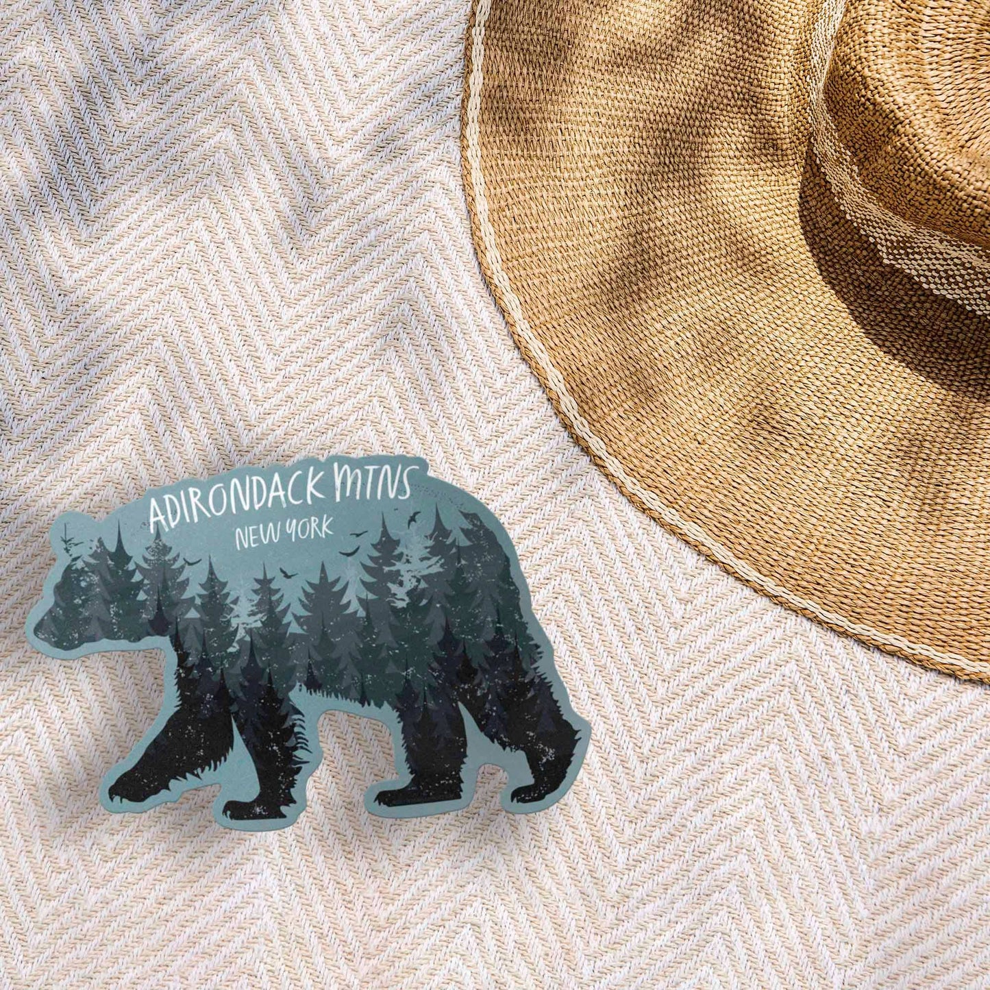 DCL Black Bear Sticker