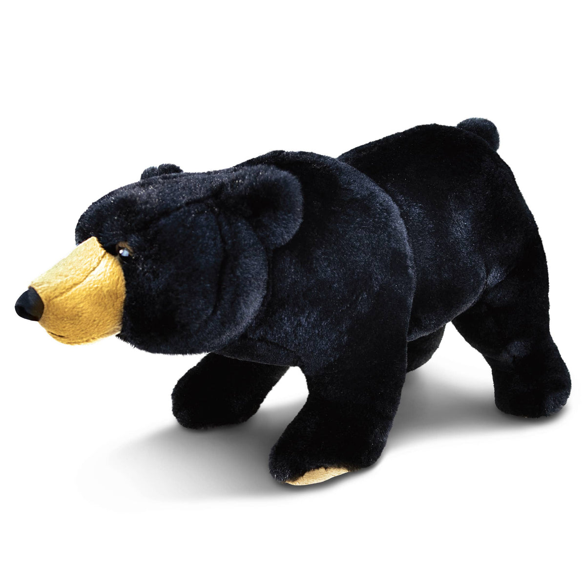 Wild Large Black Bear