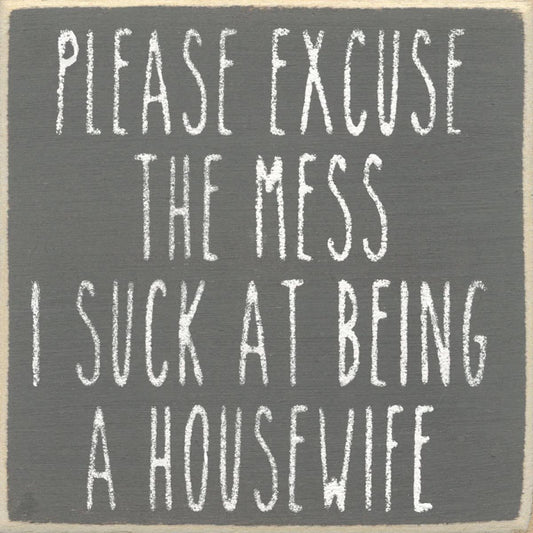 Please Excuse The Mess