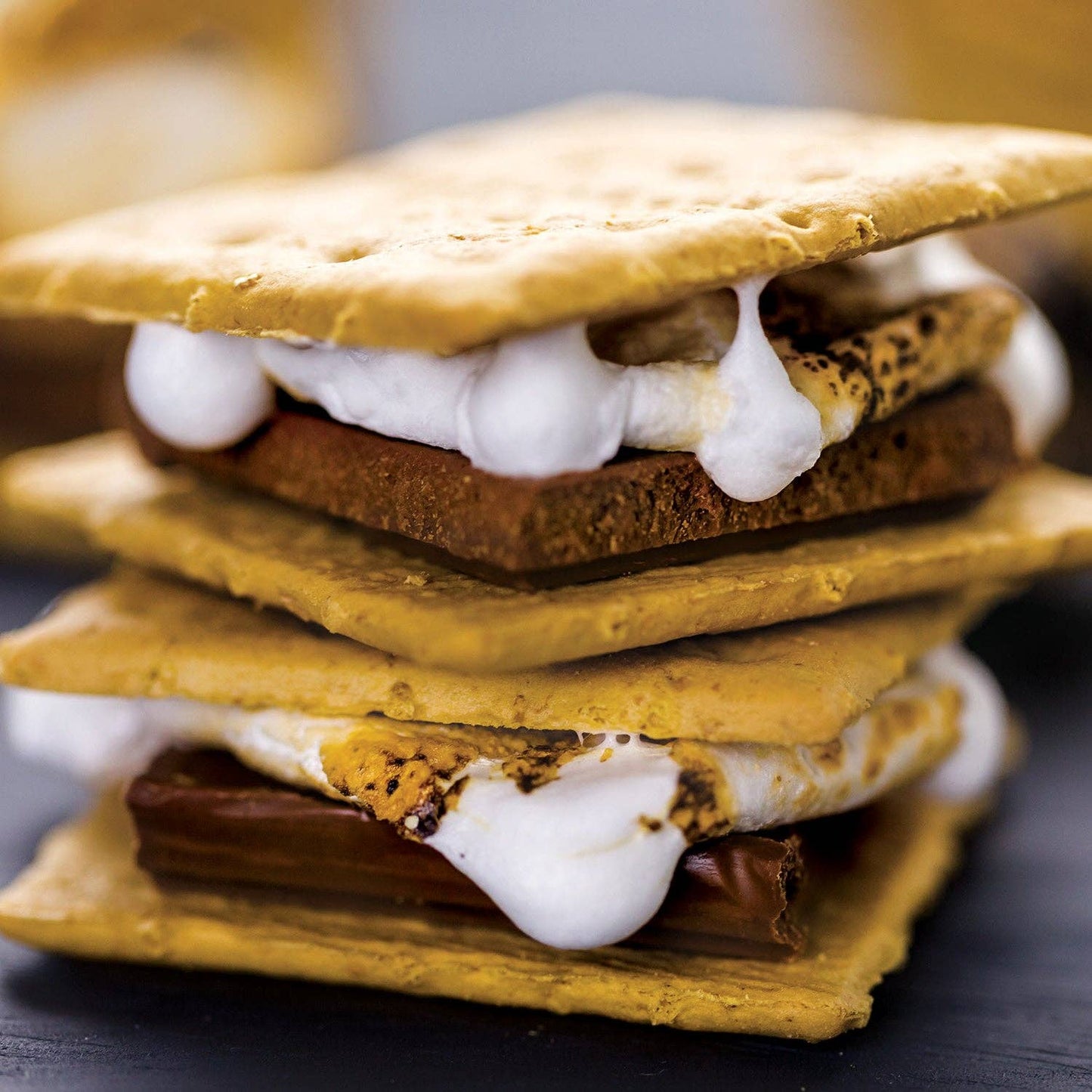 S'mores 100 Piece Puzzle