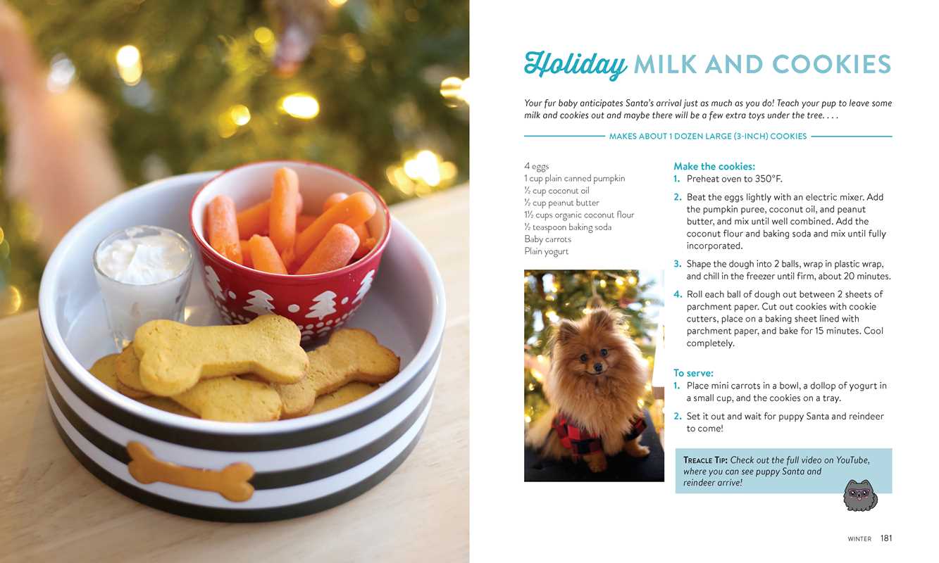 Pup-Approved Dog Treat Recipes