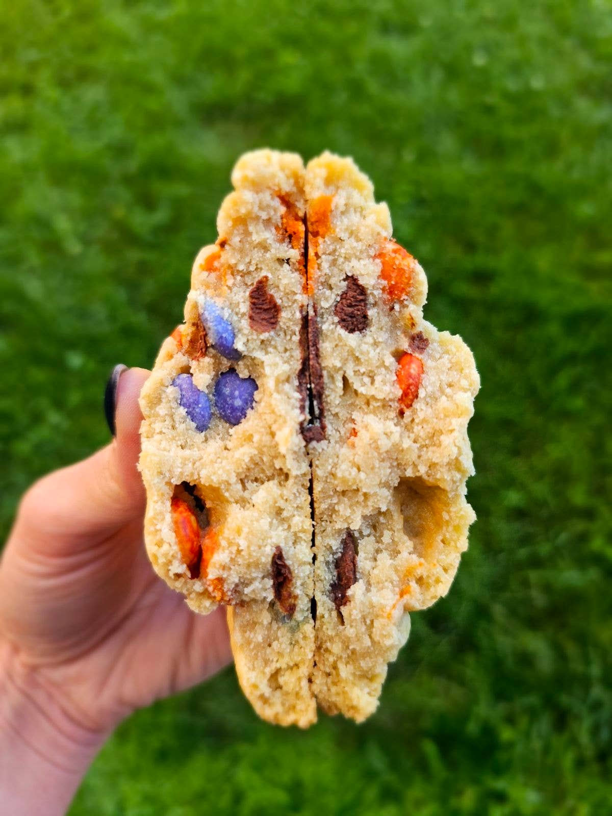My Big Fat Cookie - Party Remix (M&M's)