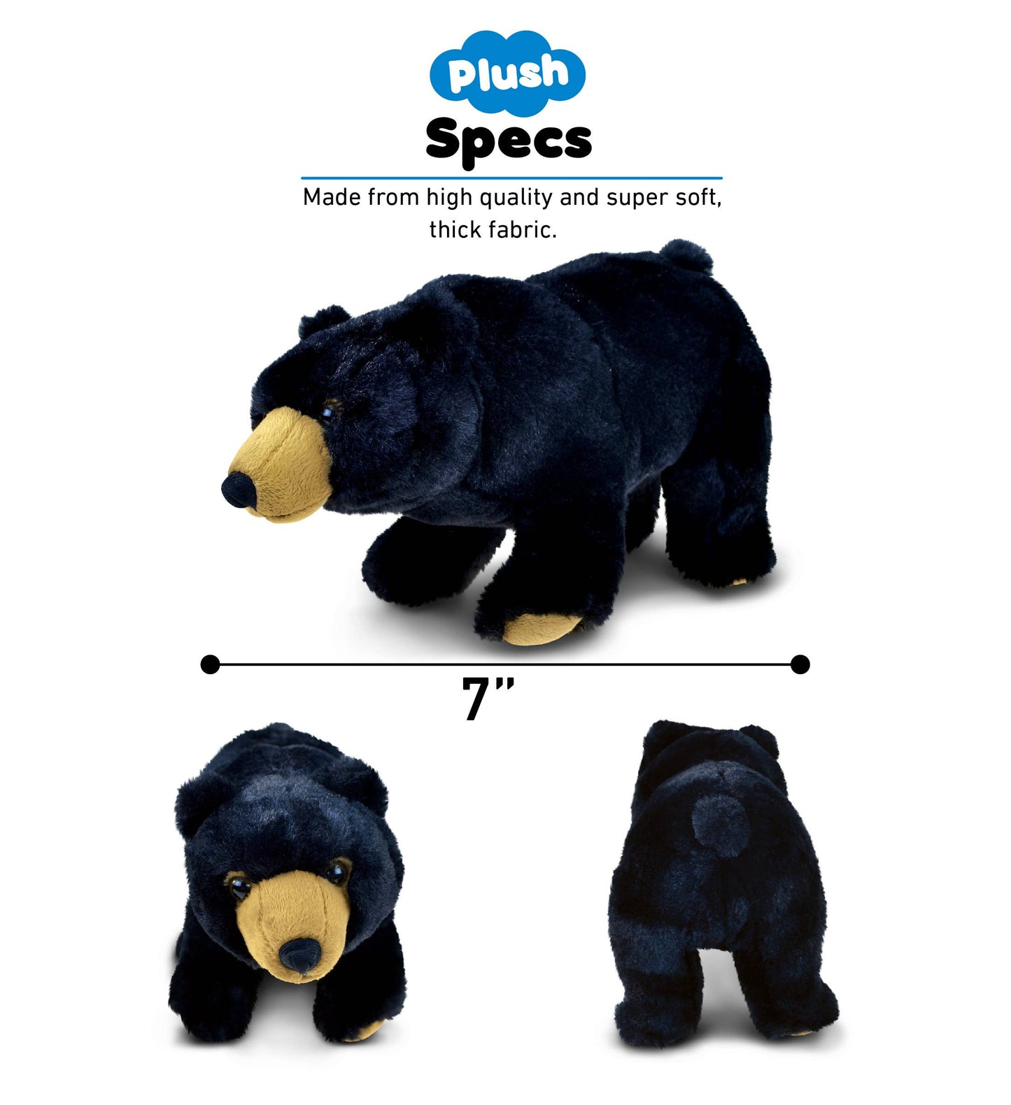 Wild Small Black Bear