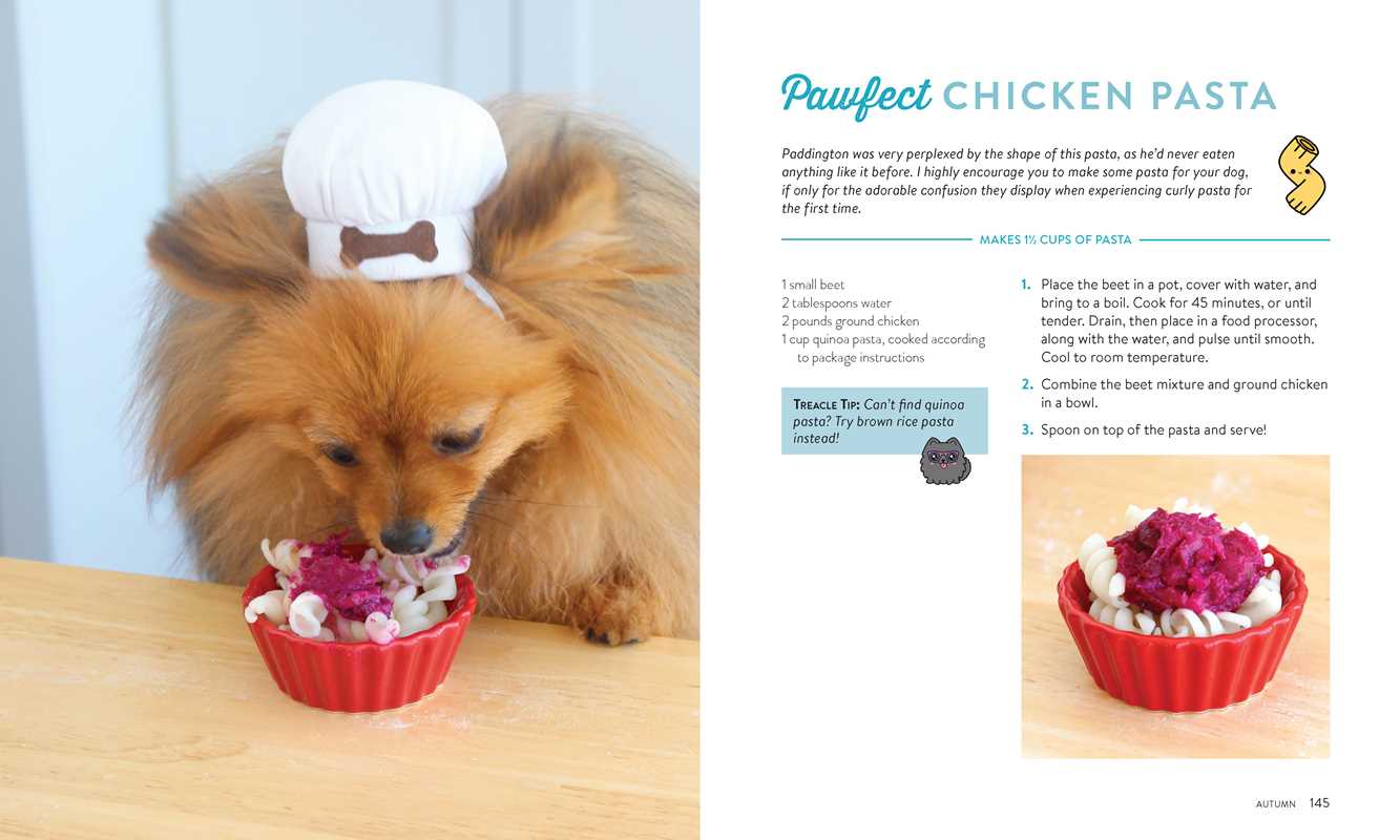 Pup-Approved Dog Treat Recipes