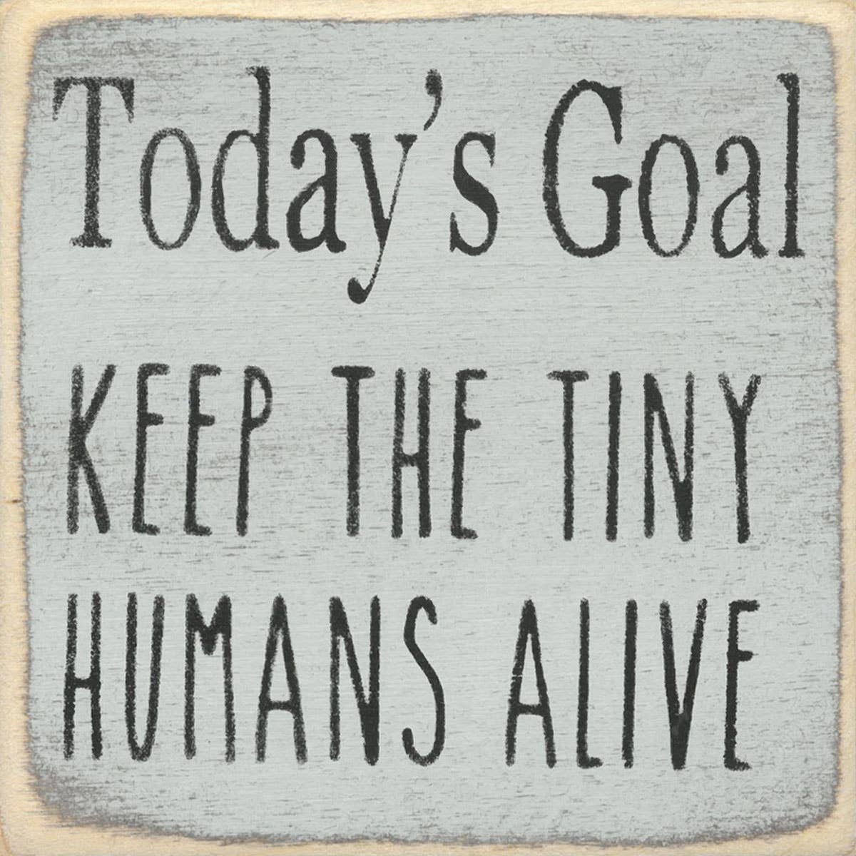 Today's Goal