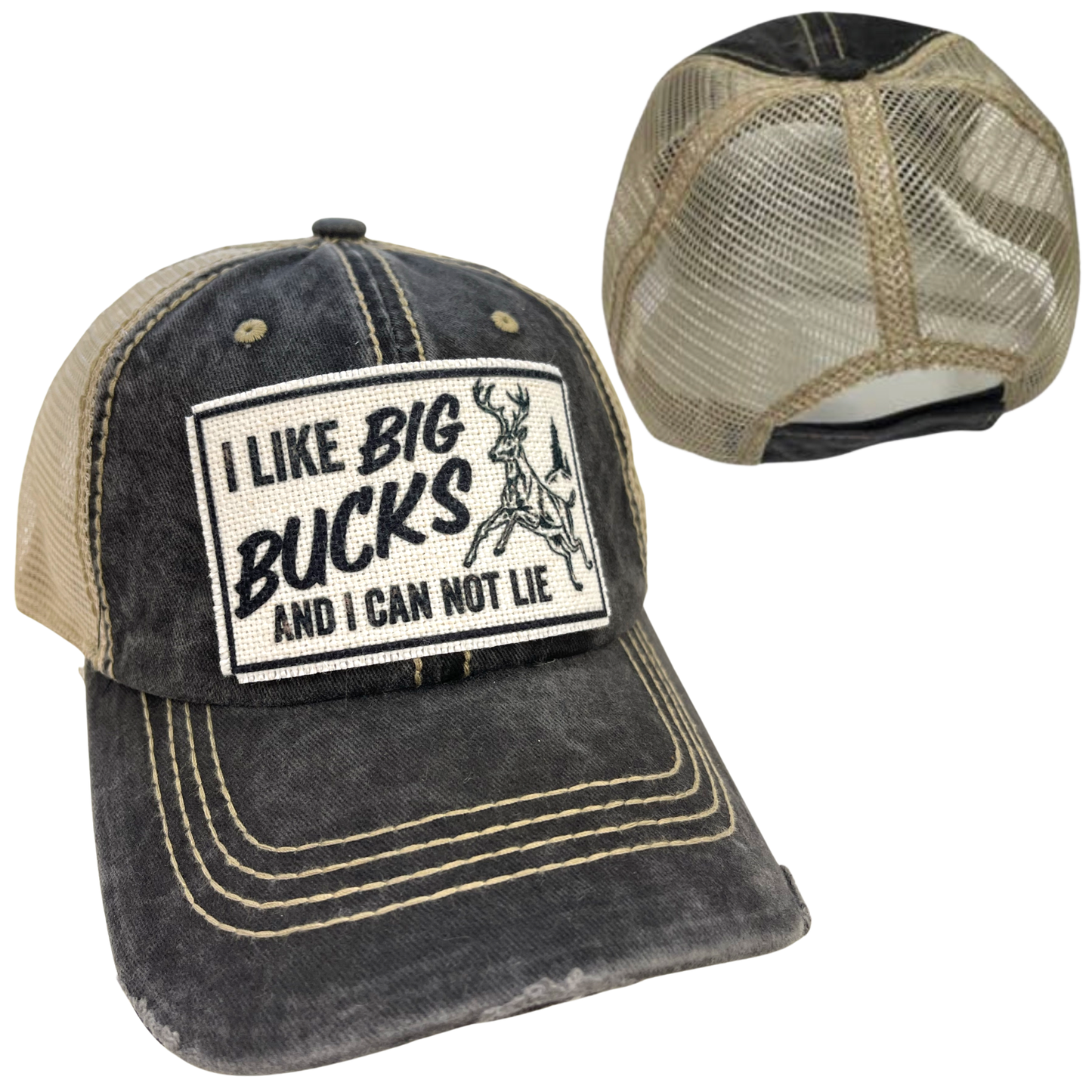 I LIKE BIG BUCKS AND I CAN NOT LIE