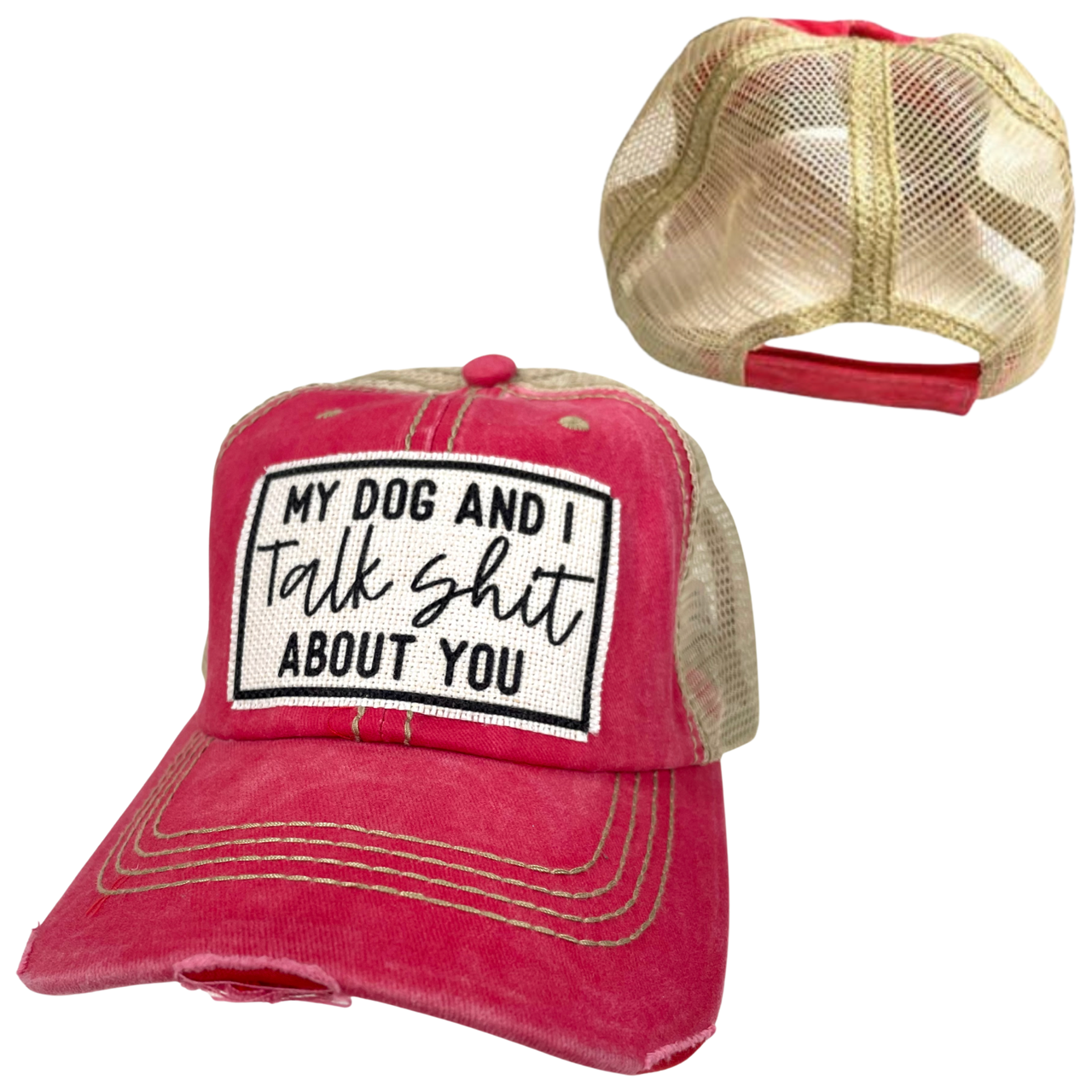 MY DOG AND I TALK SHIT ABOUT YOU