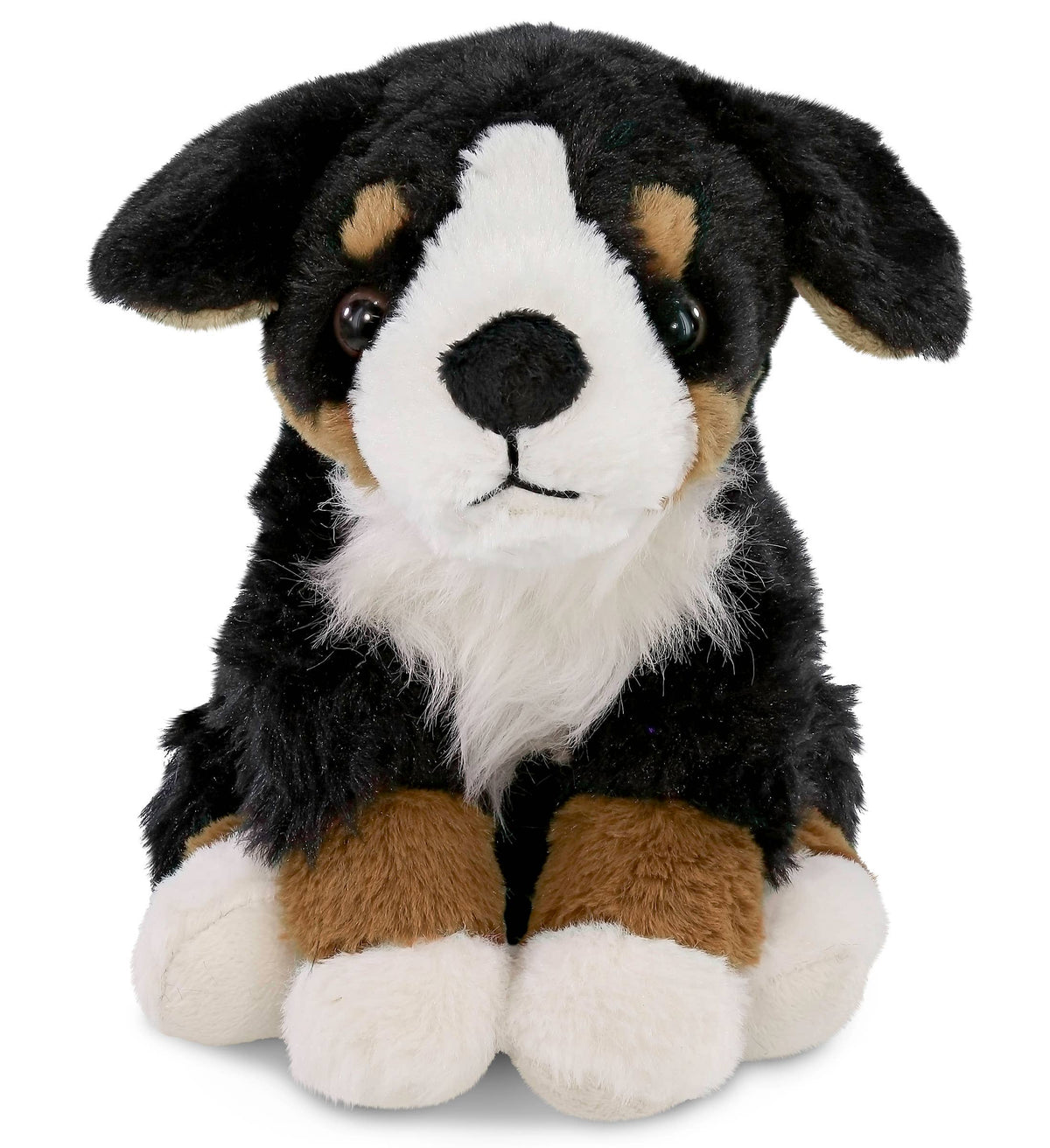 Bernese Dog