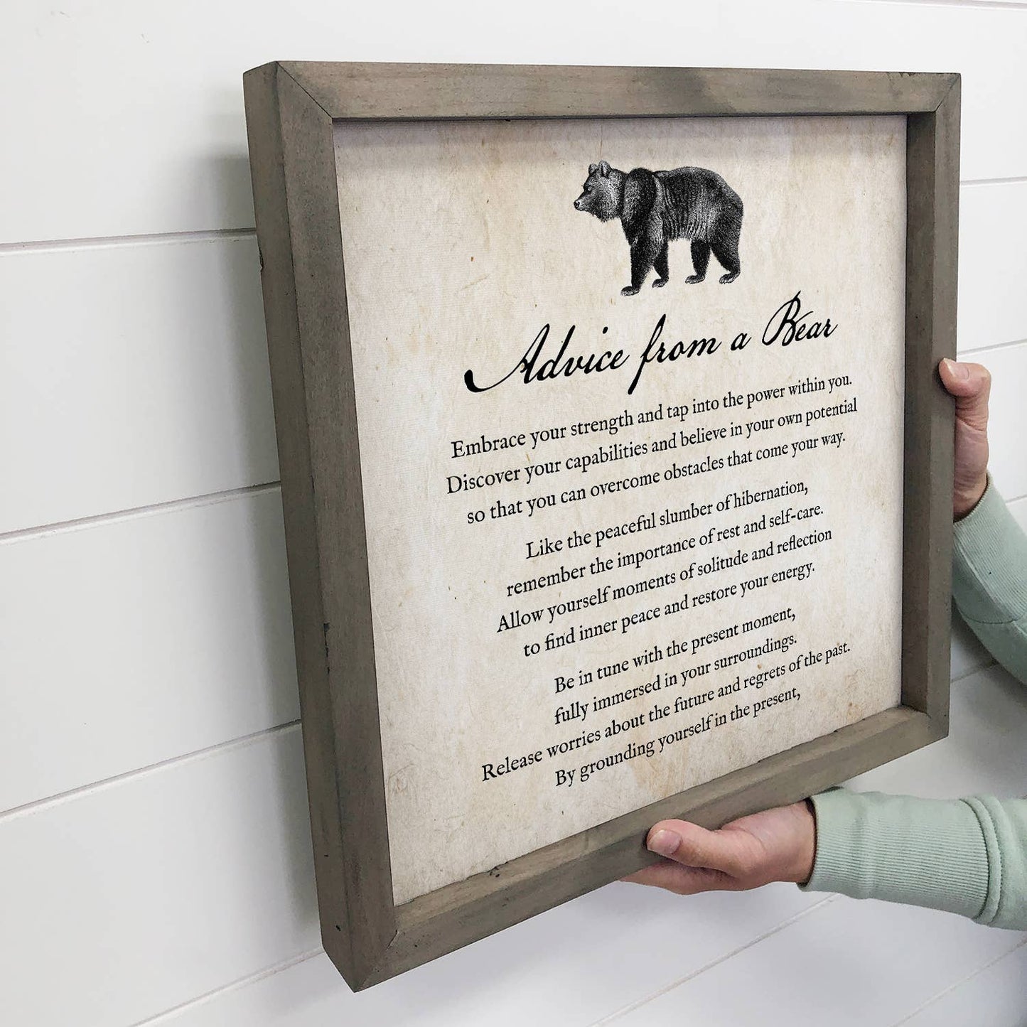 Advice from a Bear -