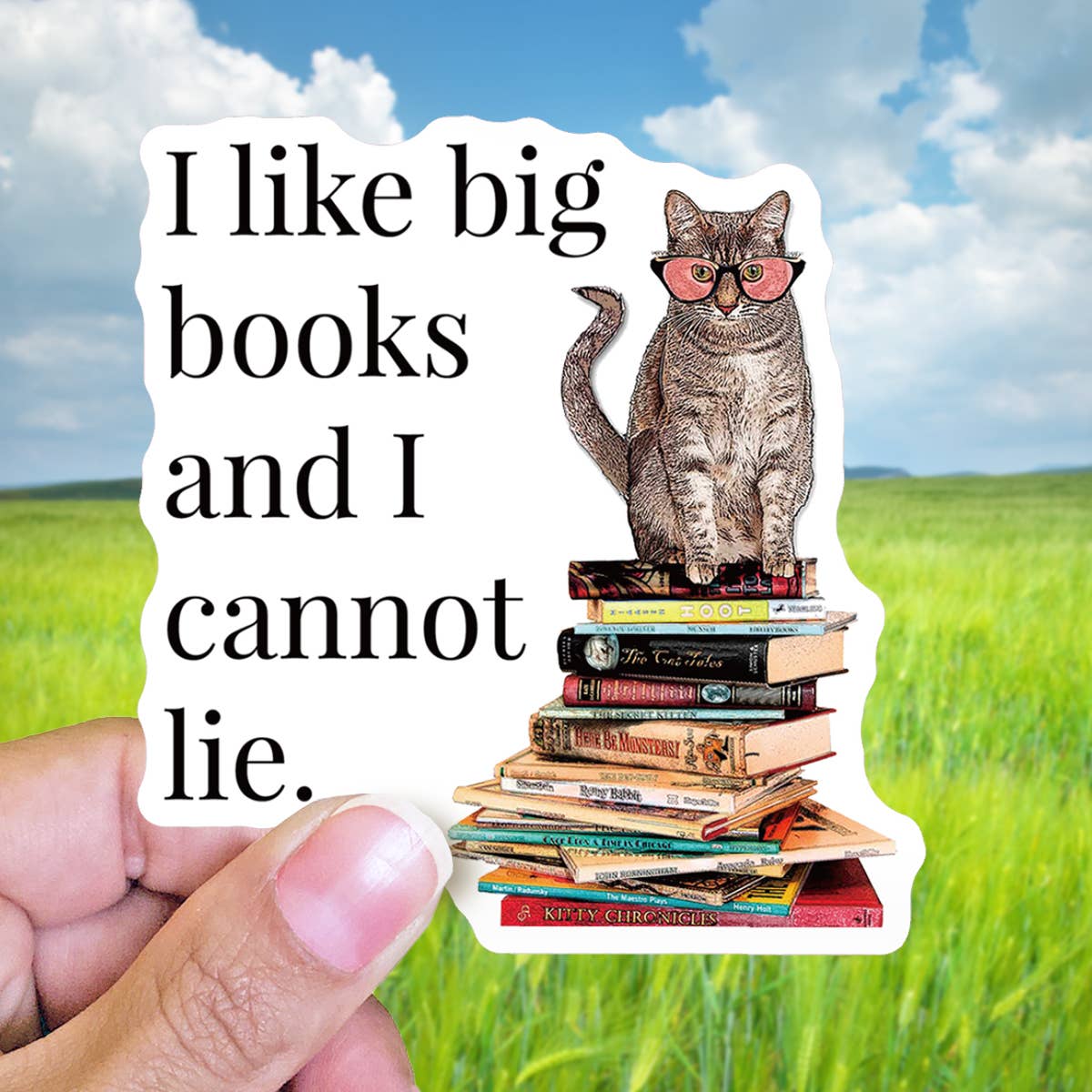 Sticker I like big books