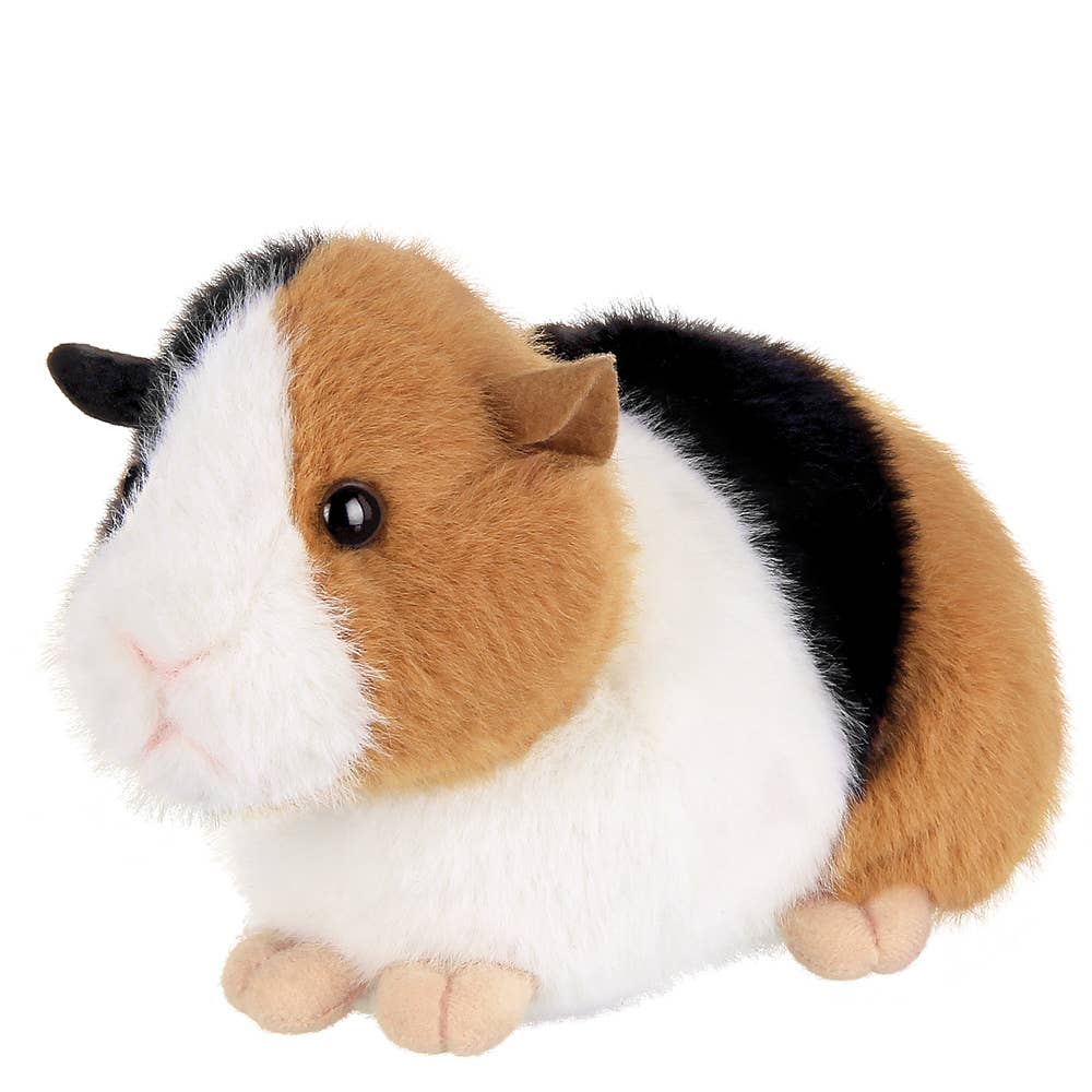 Scooter the plush guinea pig