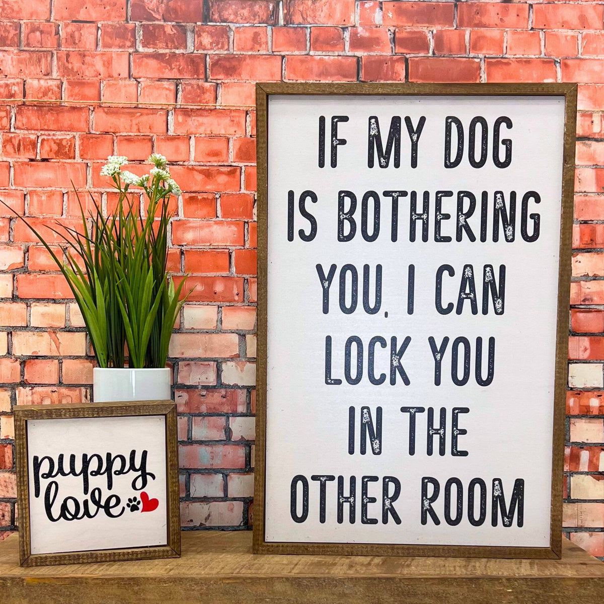 If My Dog Is Bothering You