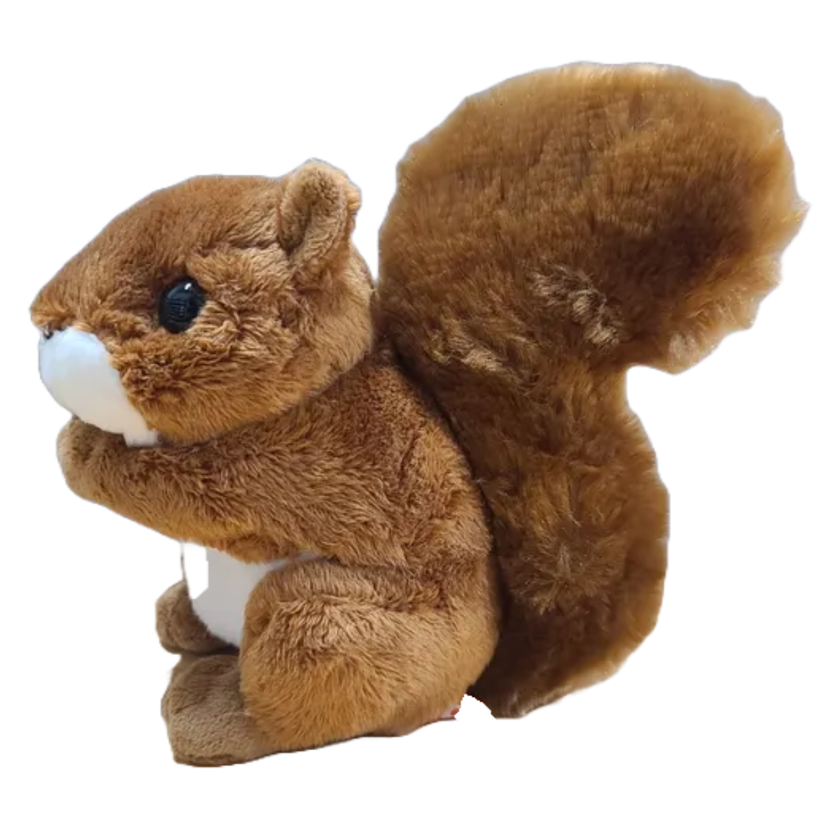 Canned Squirrel Funny Jokes