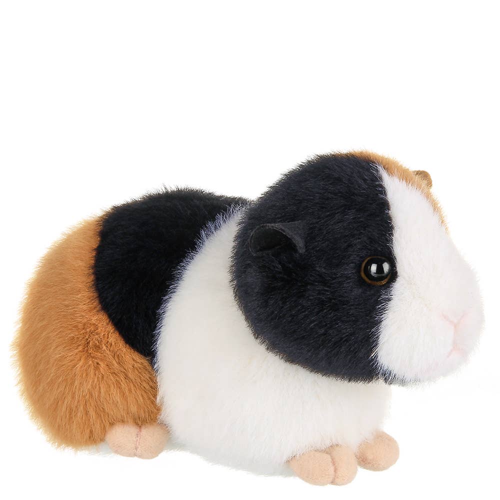 Scooter the plush guinea pig
