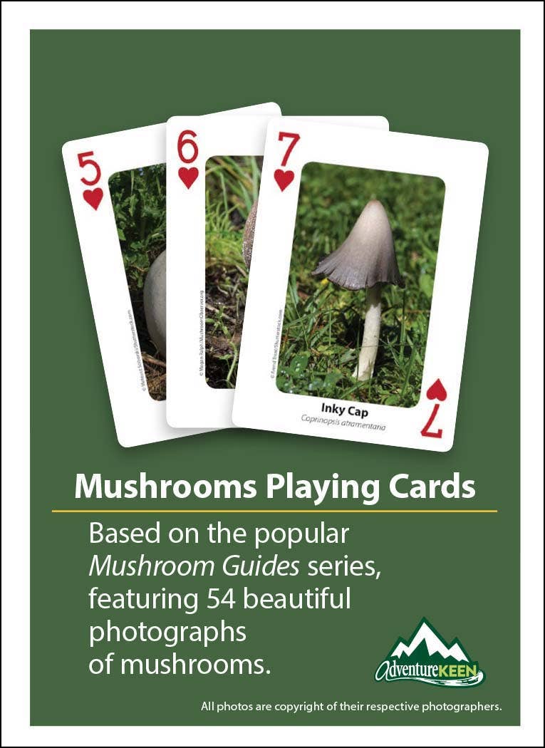 Mushrooms Playing Cards
