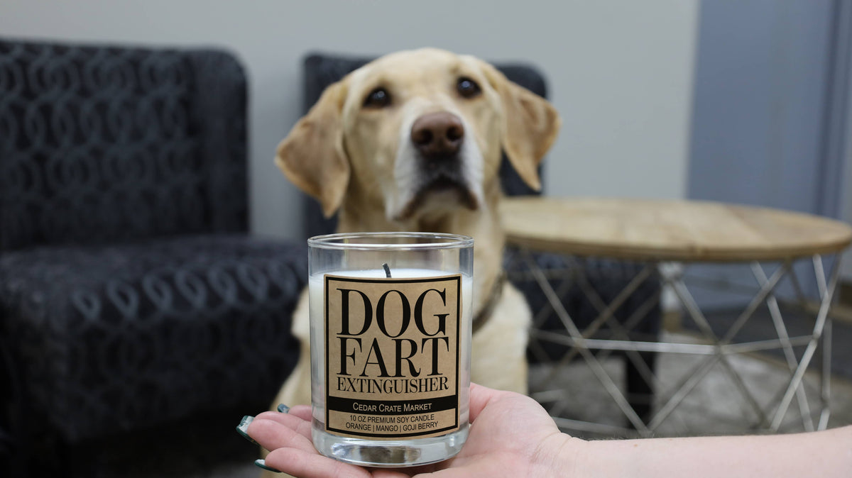 Dog Fart Extinguisher