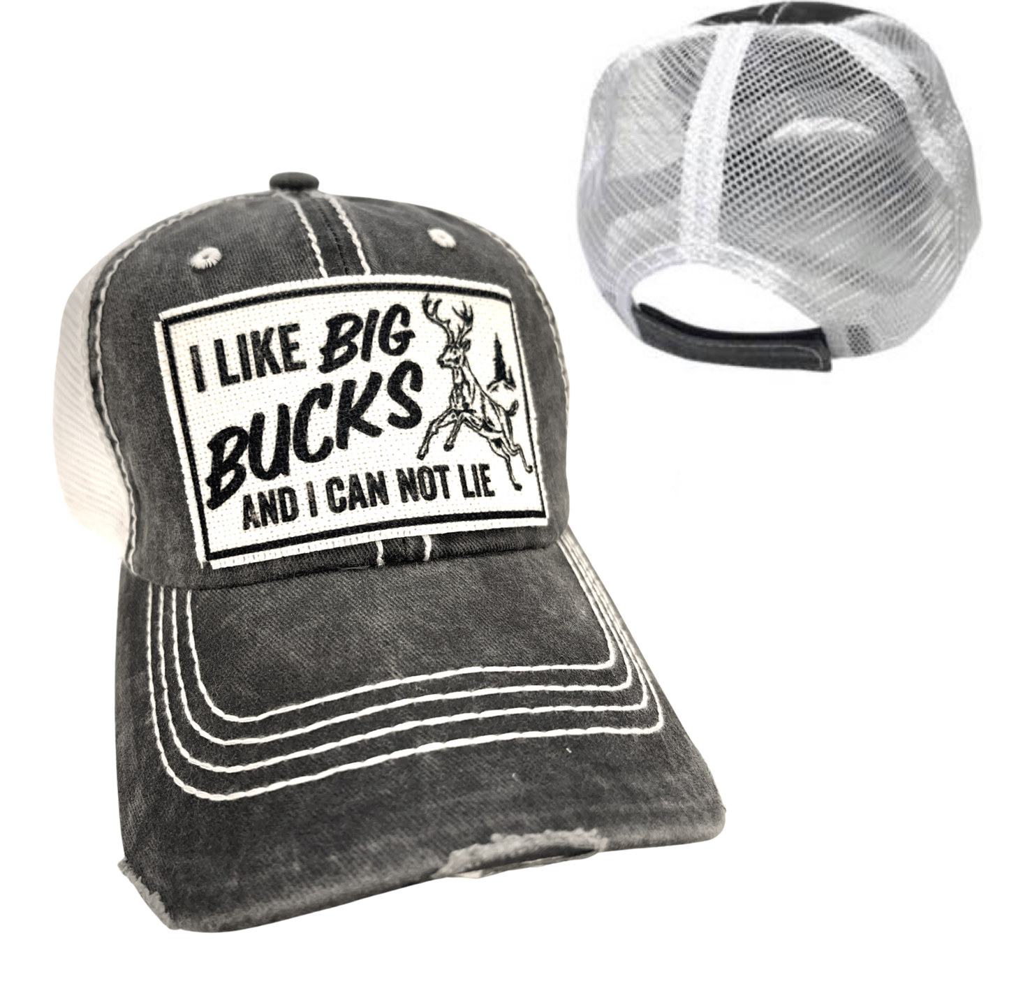 I LIKE BIG BUCKS AND I CAN NOT LIE