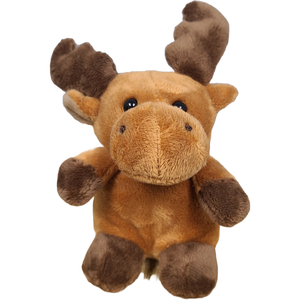 Rocky the Canned Moose