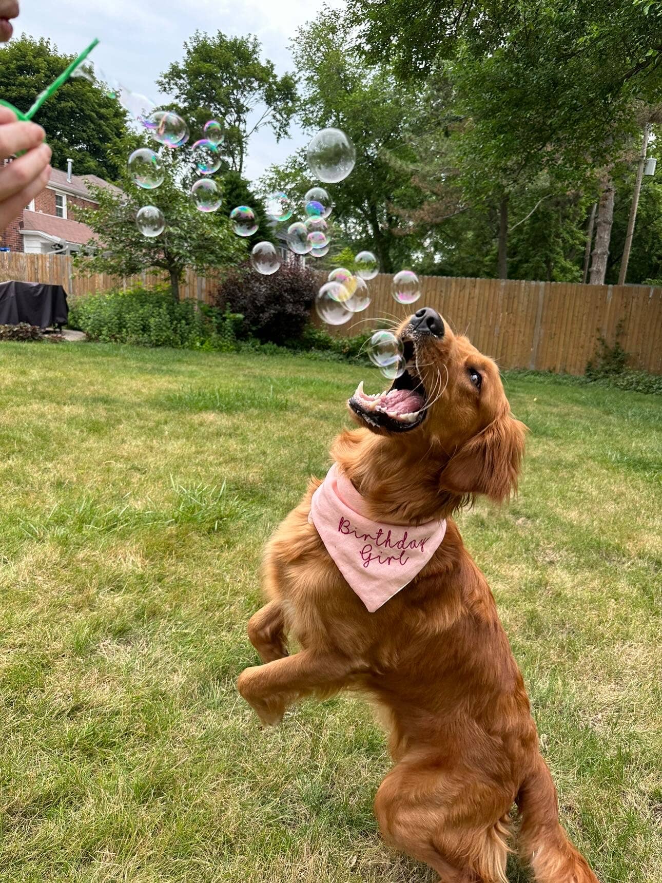 Pets Peanut Butter Swirl bubbles