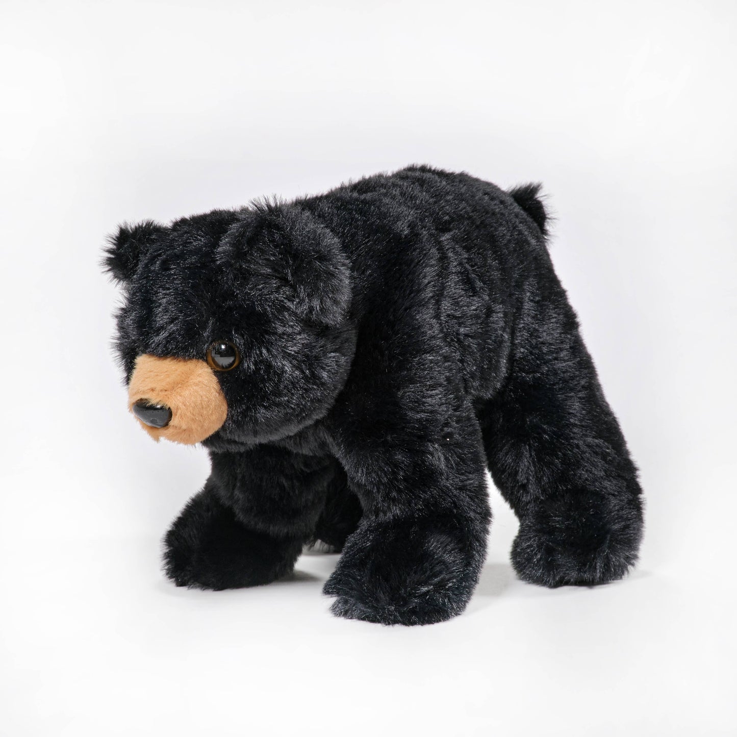 Bandit the Black Bear